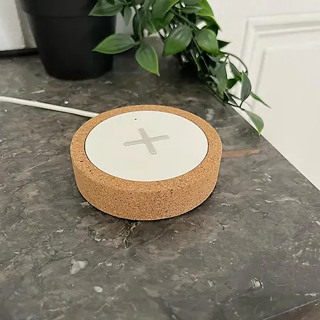 Le Cocon Angevin 아파트 앙제