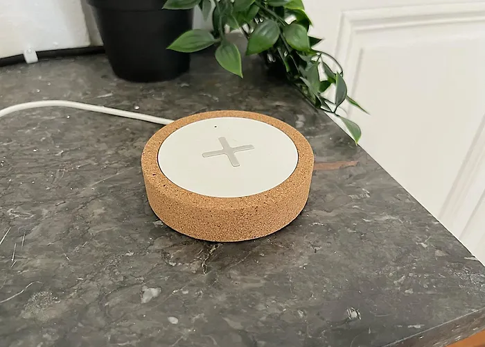 Le Cocon Angevin 아파트 앙제