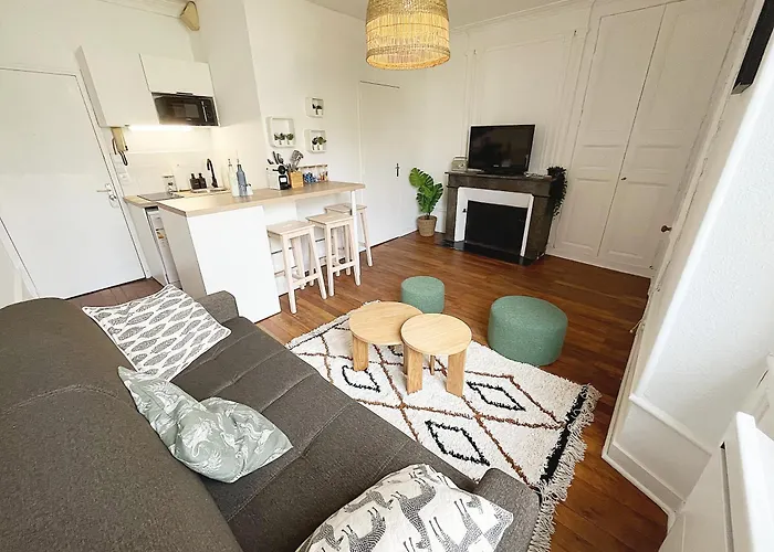 Апартаменты Le Cocon Angevin